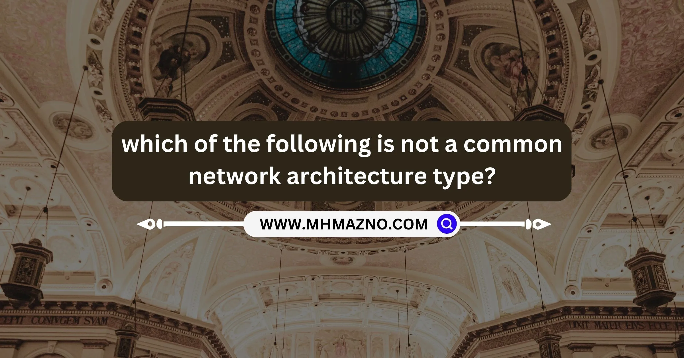 which-of-the-following-is-not-a-common-network-architecture-type