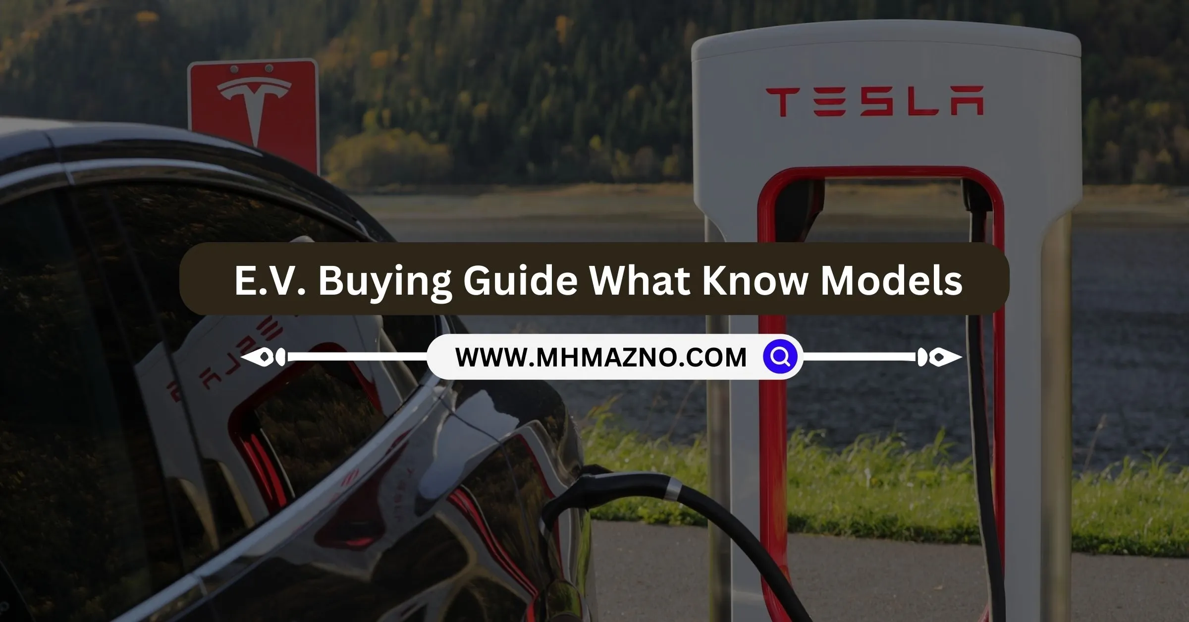 Electric-Vehicle_-E.V.-Buying-Guide-What-Know-Models-55-Points-to-Know